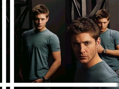 jensen